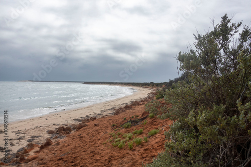 Wallpaper Mural Francois Peron, Western Australia. Where the red sand meets the white sand to meet the blue ocean. Lots of birds flying and ocean life. Torontodigital.ca