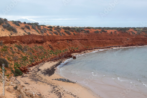 Francois Peron National Park, Western Australia where the red sand meets the white sand that meets the deep blue ocean. Full of bird life and marine life. photo