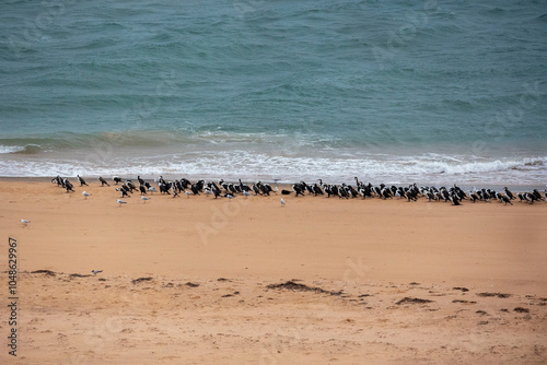 Francois Peron National Park, Western Australia where the red sand meets the white sand that meets the deep blue ocean. Full of bird life and marine life.