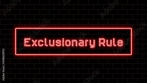 Exclusionary Rule のネオン文字 photo