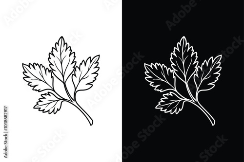 Coriander leaf logo icon vector illustration on white background.	