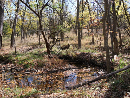 Beautiful Fall Scenes at Ernie Miller Olathe KS photo