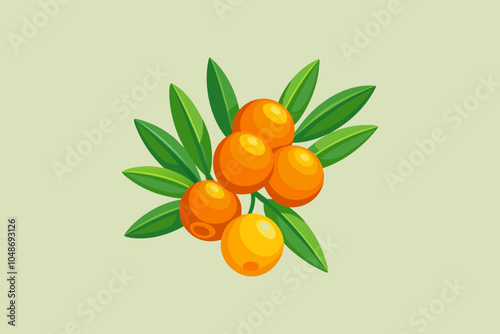 Delicious fruit sea buckthorn vector art illustration