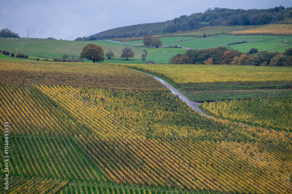 Fototapeta premium Aerial view of terraced vineyards around Nittel, Rhineland-Palatinate, Germany and views across Moselle River on vineyard hills of Machtum, Luxembourg