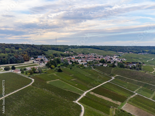 Panoramic aerial view on green premier cru champagne vineyards and fields near village Hautvillers and Cumieres and Marne river valley, Champange, France photo