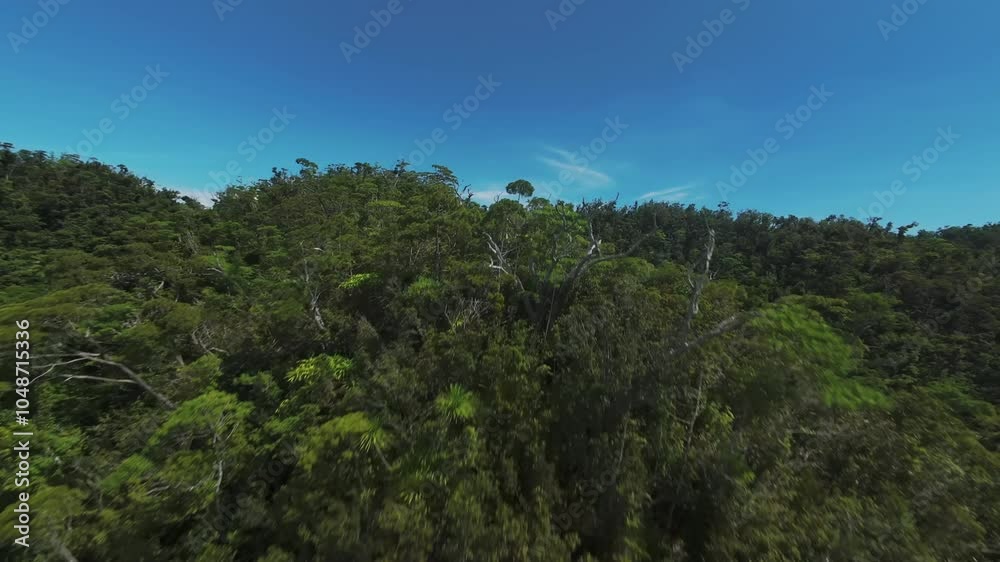 FPV aerial video over Sogba Lagoon on Shirgao Island in the Philippines FPV aerial video over Sogba Lagoon on Shirgao Island in the Philippines