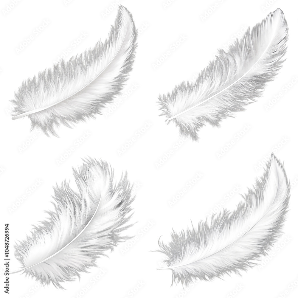 Obraz premium White feather isolated on transparent background
