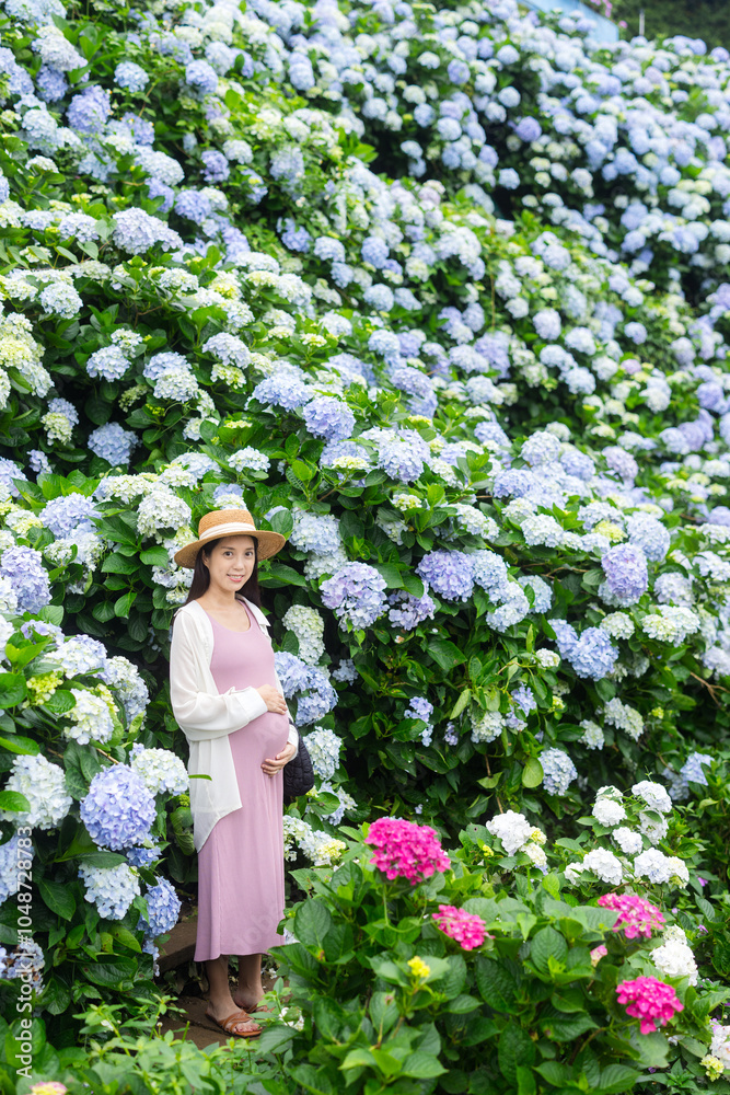 Naklejka premium Asian pregnant in Hydrangea flower farm