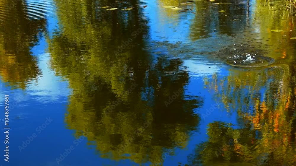 Reflection of a tree on the surface of the lake.
Smooth water surface on the lake.
Reflection of the blue sky on the water.
Calm on ocher.
Calm water Reflection of a tree on the surface of the lake.
Smooth water surface on the lake.
Reflection of the blue sky on the water.
Calm on ocher.
Calm water