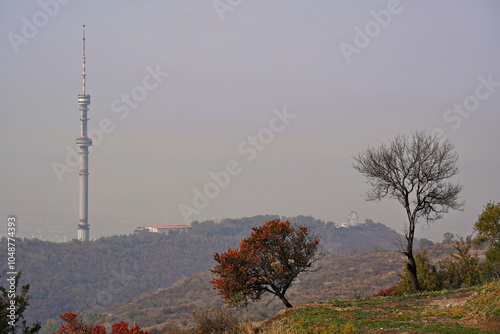 Trees on a hill, against the background of the Koktobe TV tower. Autumn. photo