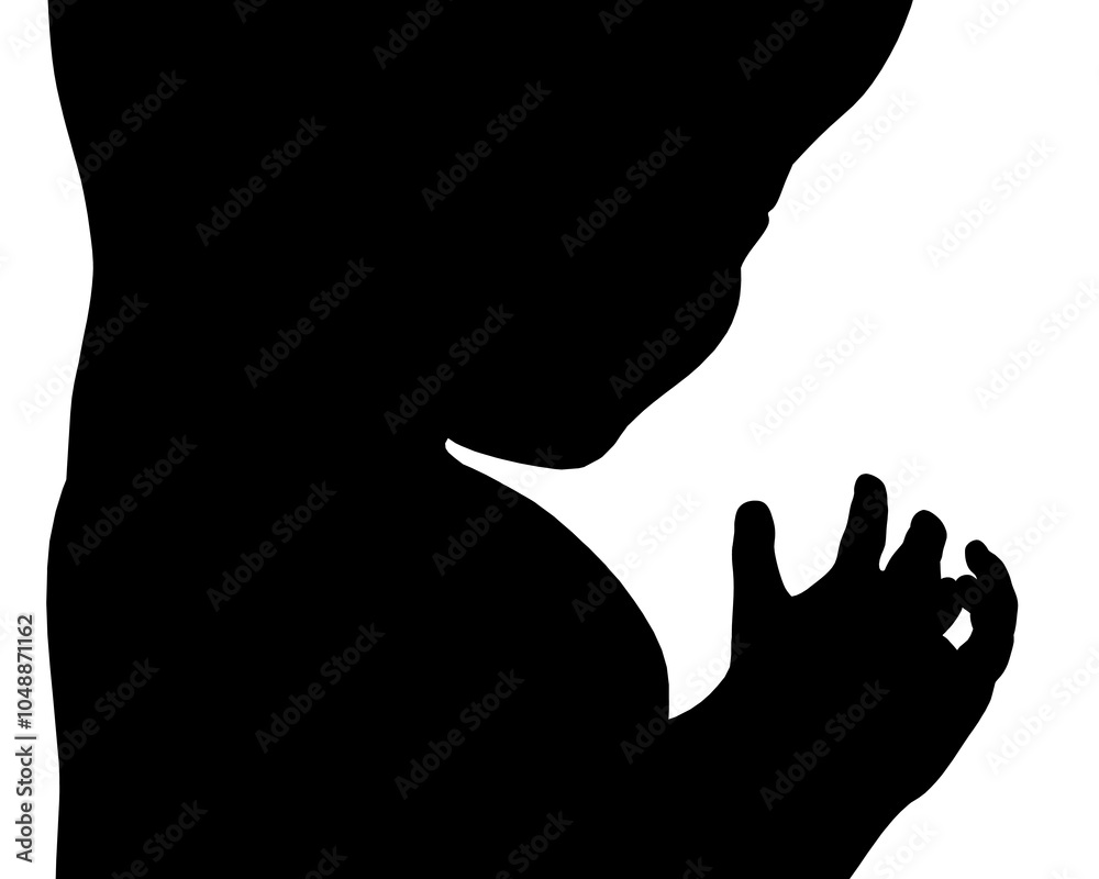 Fetus graphic icon silhouette. Embryo human silhouette sign isolated on white background. Vector illustration Fetus graphic icon silhouette. Embryo human silhouette sign isolated on white background. Vector illustration