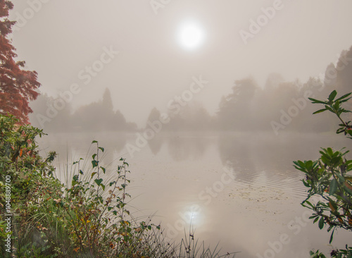 A Misty Morning View Across The Lake Through The Trees