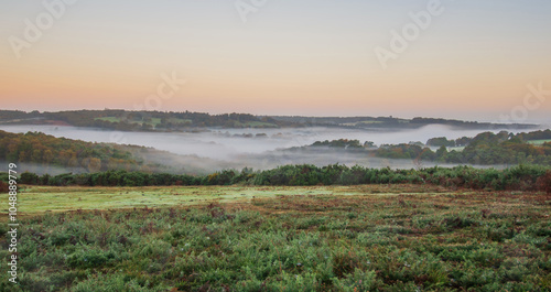 Autumn Early Morning Mist Fills The Valleys At Ashdown Forest