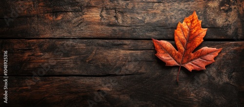 dark brown autumn leaf on a...