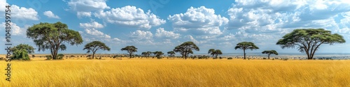 African Safari Landscape with Acacia Trees and Golden Grass under Blue Sky with Clouds in Serengeti, Wildlife Adventure Scenery, Nature Travel Photography photo