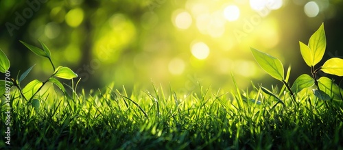 Springtime and growth conce...
