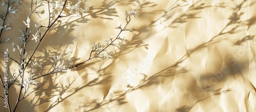 The shadow of flowering wil...