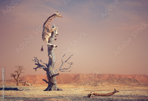 Foto Giraffe climbing a dry tree in surreal landscape