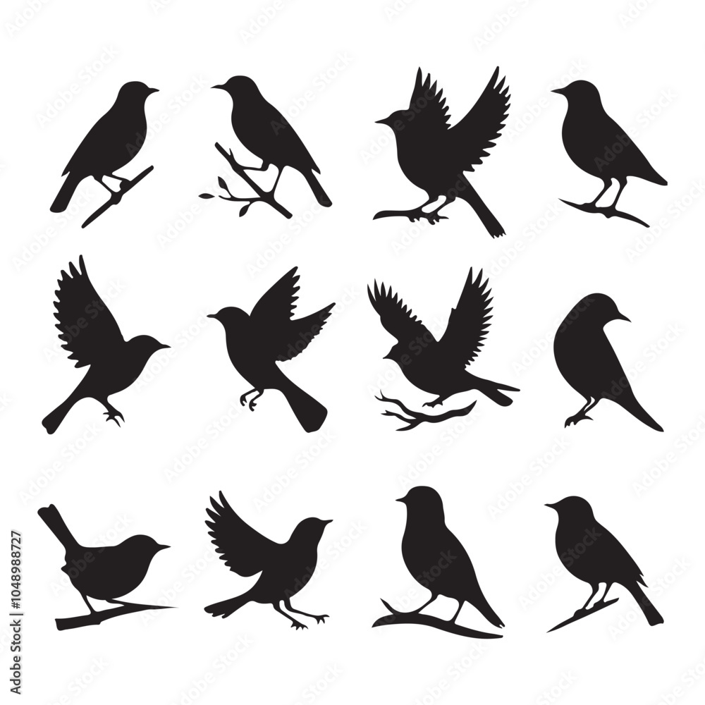 Fototapeta premium Collection of Bird silhouette vector illustration
