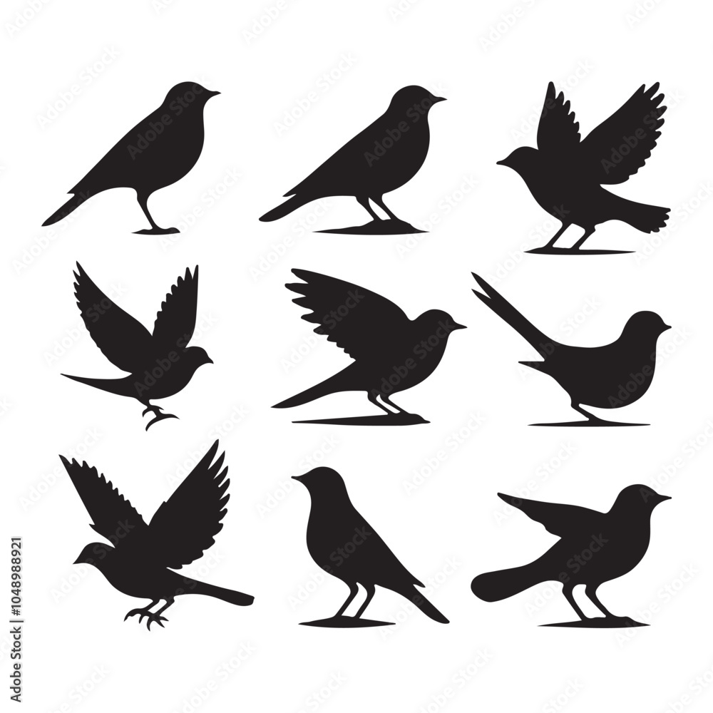 Fototapeta premium Collection of Bird silhouette vector illustration