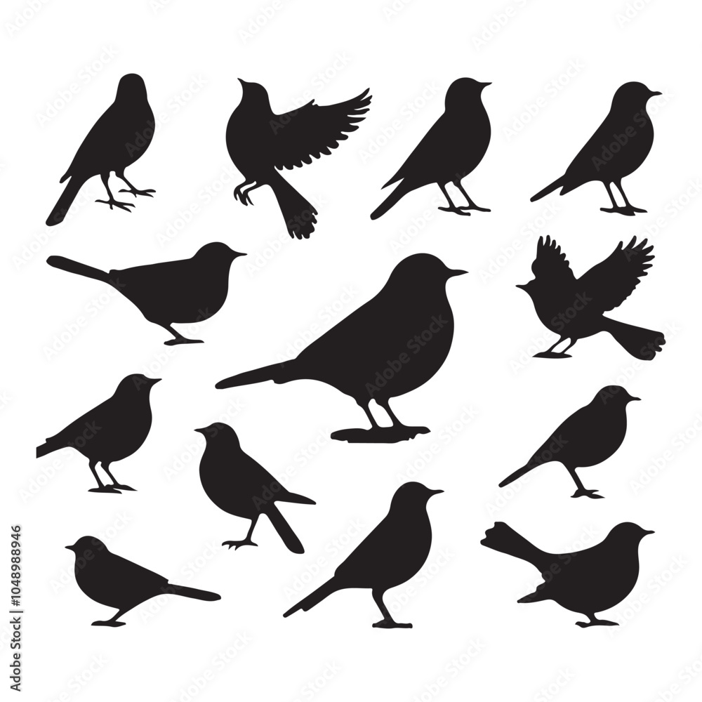 Fototapeta premium Collection of Bird silhouette vector illustration