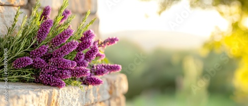  Purple flowers cluster on a stone wall, bordering a tree and expansive green field