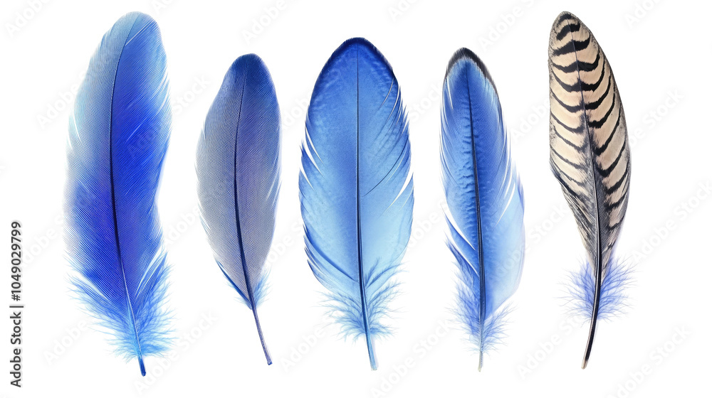 Vibrant Collection of Blue Feathers in Various Shapes and Sizes Generative AI Vibrant Collection of Blue Feathers in Various Shapes and Sizes Generative AI