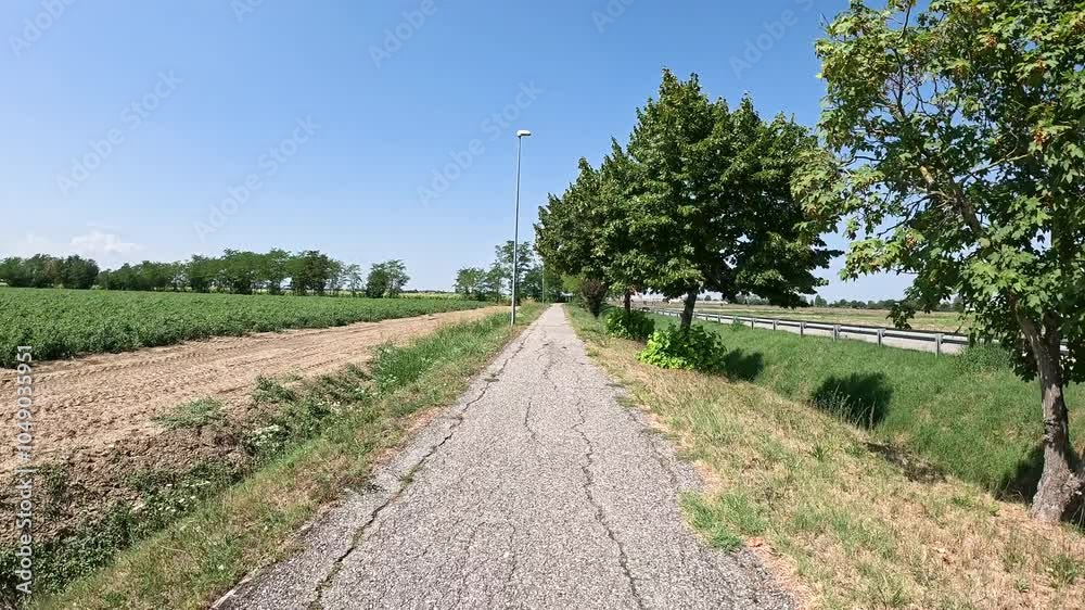 Via Francigena - a paved road through agricultural fields near Pontenure, province of Piacenza, Emilia-Romagna, Italy