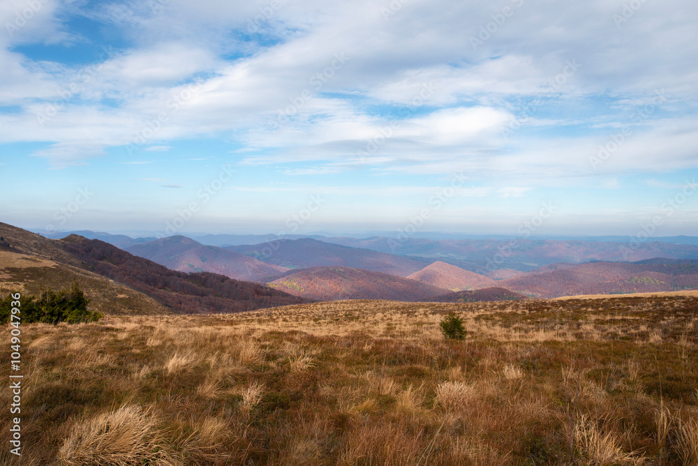 Naklejka premium autumn in the mountains