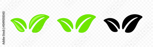 Leaves, leaf, nature and plant, graphic design. Flora, foliage, tree, herbal and botanical, vector design and illustration