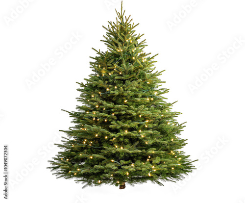 Christmas Tree isolated on white background