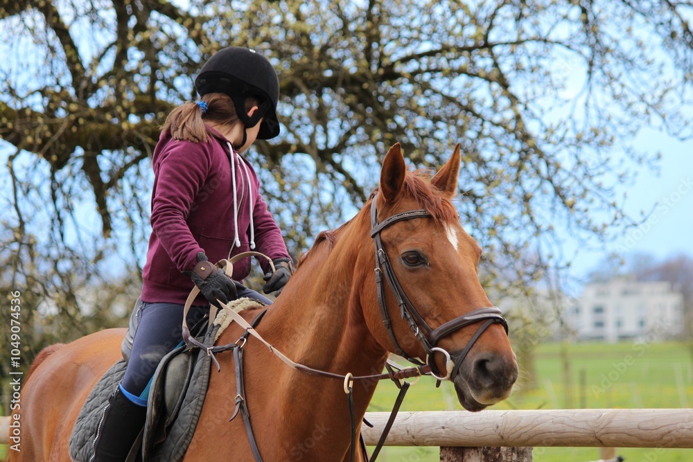 Riding a horse on an autumn day Riding a horse on an autumn day