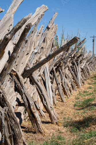 close-up of a split rail natural wooden fence photo