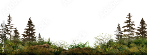 PNG Landscapes wilderness vegetation outdoors.
