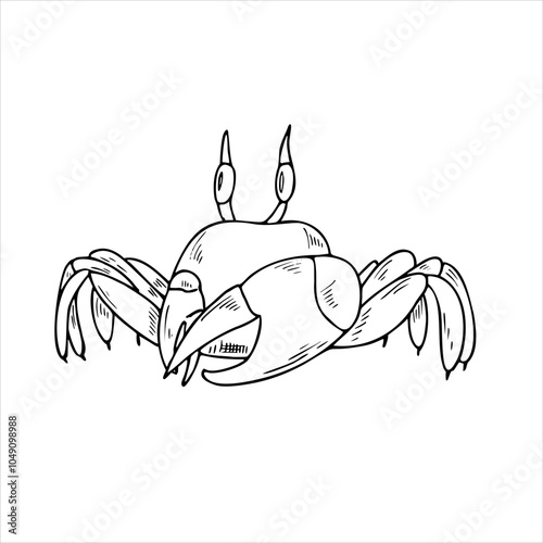 Vector cartoon Fiddler crab with big claw line art black ink isolated sketch. Sea animal hatching monochrome black engraving. For coloring page, book, tattoo