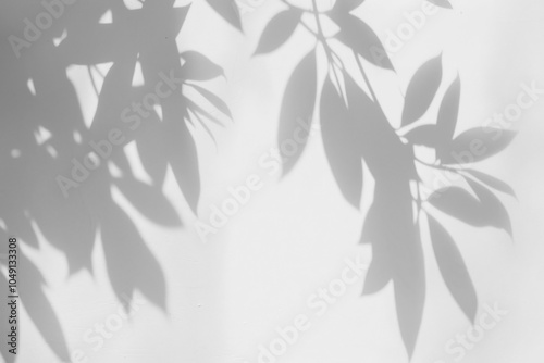 PNG Shadow from leaves minimalist shadows white.