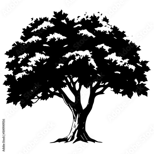 Plants Sycamore Tree