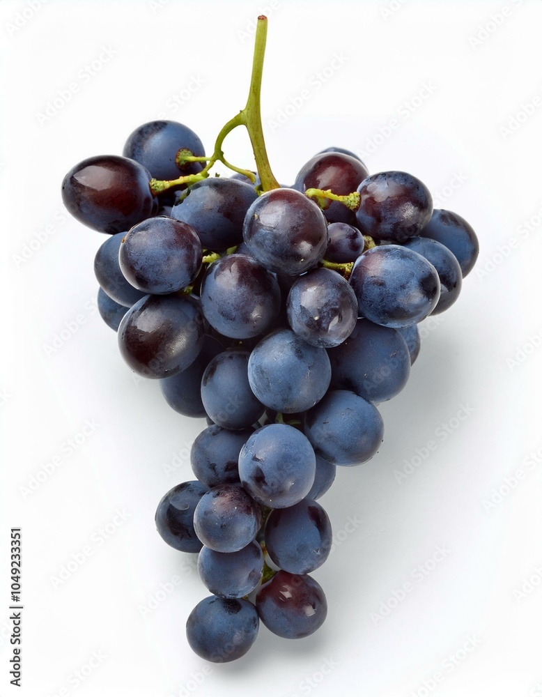 A bunch of ripe, dark grapes A bunch of ripe, dark grapes