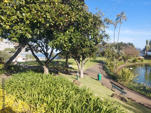 coastline, nature, tree, sky, clouds, tourism, landscape, travel, destination, peace, portugal, madeira, island, garden, tree, park, outdoor, cityescape photo