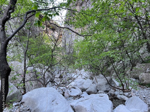 Mala Paklenica Canyon, Seline (Paklenica National Park, Croatia) - Die Schlucht von Mala Paklenica, Seline (Nationalpark, Kroatien) - Kanjon Male Paklenice (Nacionalni park Paklenica, Hrvatska) photo