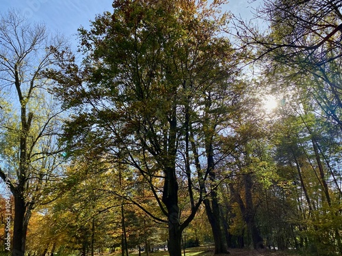 Der Stadtpark von Nordhausen mit der Zorge und dem Gondelteich an einem sonnigen Tag im Herbst