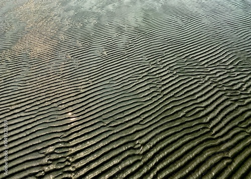 Abstract isolated patterns on the beach side 