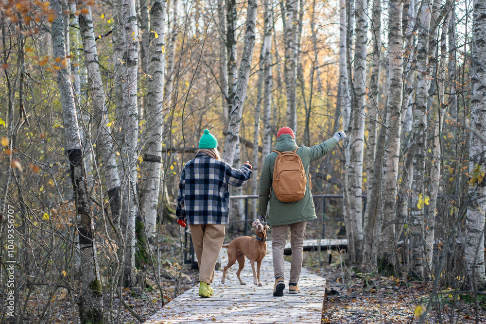 Calm woman, pleased man strolling along wooden path through dense woods, bare autumn trunks of trees, talking, chatting, discussing topics, speaking. Girl guy wandering with puppy, domestic pet. Calm woman, pleased man strolling along wooden path through dense woods, bare autumn trunks of trees, talking, chatting, discussing topics, speaking. Girl guy wandering with puppy, domestic pet.