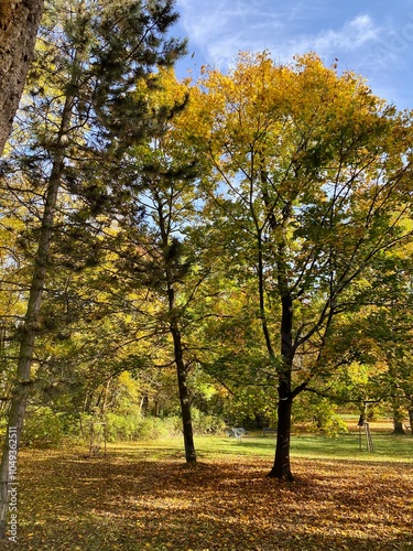 Der Stadtpark von Nordhausen mit der Zorge und dem Gondelteich an einem sonnigen Tag im Herbst