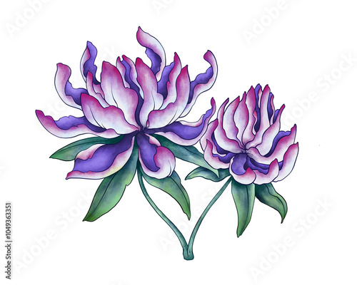 Untitled ArFlower Collection Illustration with Transparent Background. Colorful Spring Floral Set twork