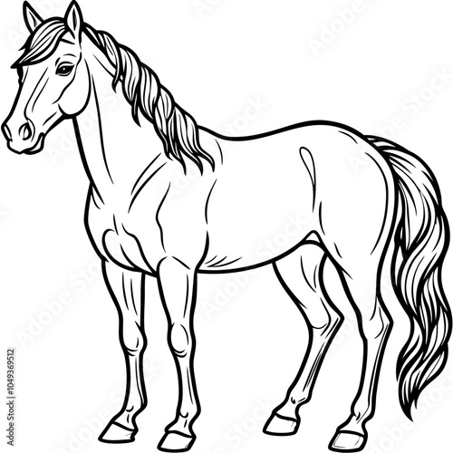  Stallion