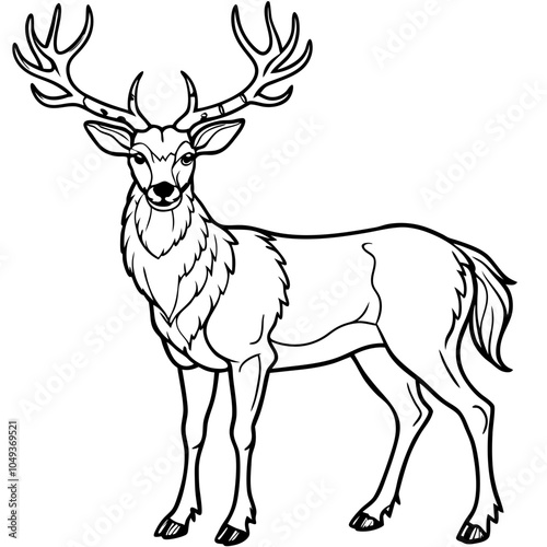 Stag Buck