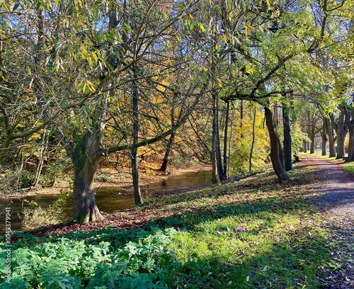 Der Stadtpark von Nordhausen mit der Zorge und dem Gondelteich an einem sonnigen Tag im Herbst photo