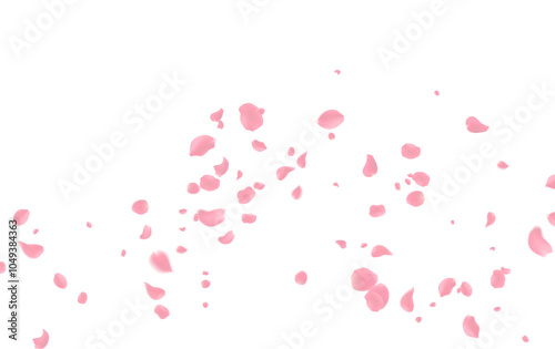 Rose petals or sakura flying petals, romantic background with realistic pink cherry flower petals flow or falling motion. Love, romance, floral spring season