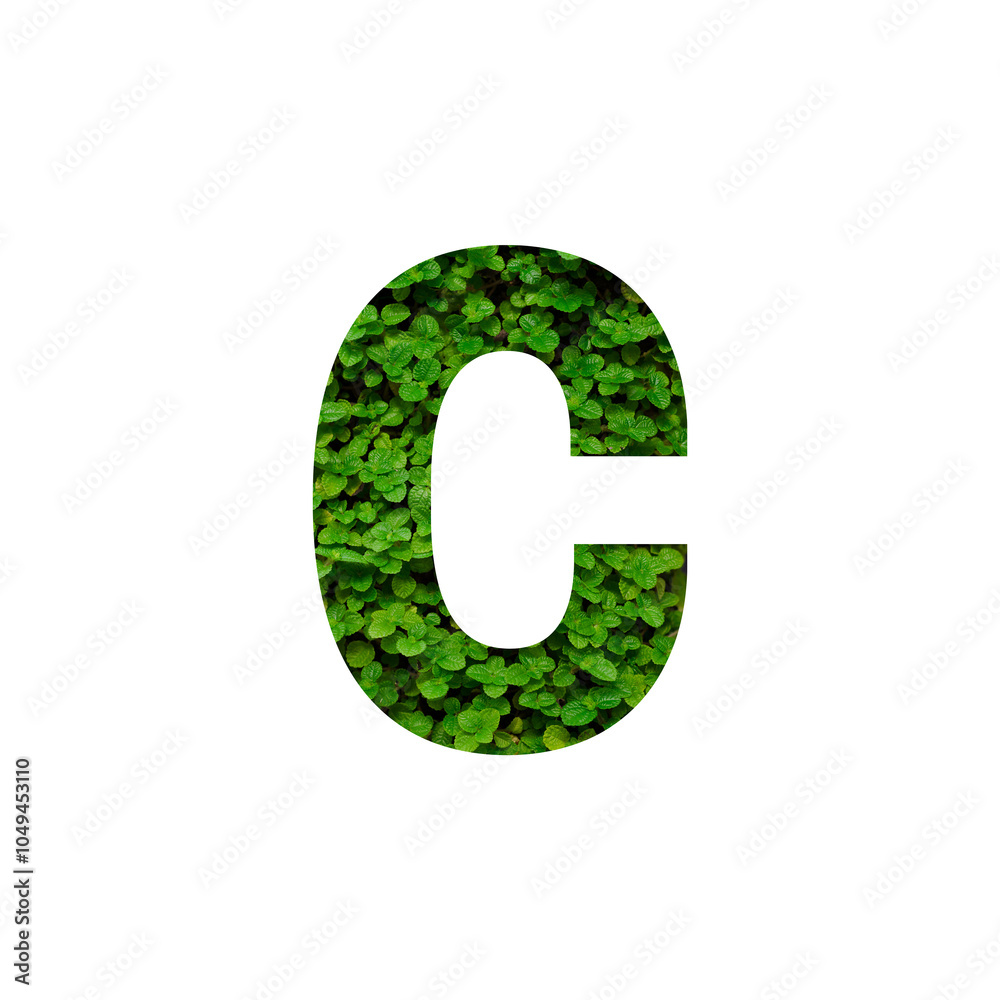 3d green grass font isolated on white